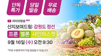 [라이브종료] 산지보여드림 정선 프룬편