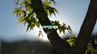 라이프케어와 함께한 2022년 돌아보기