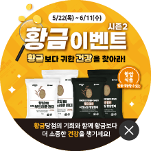 황금항암쌀