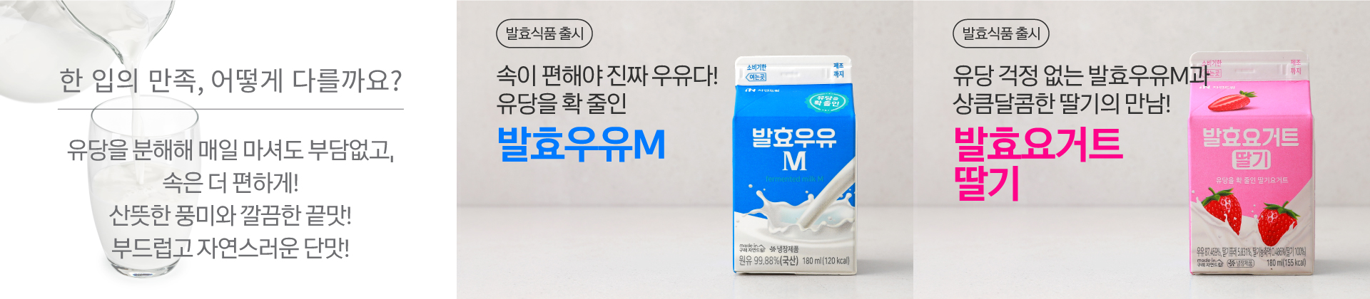 [급식]발효식품_유제품