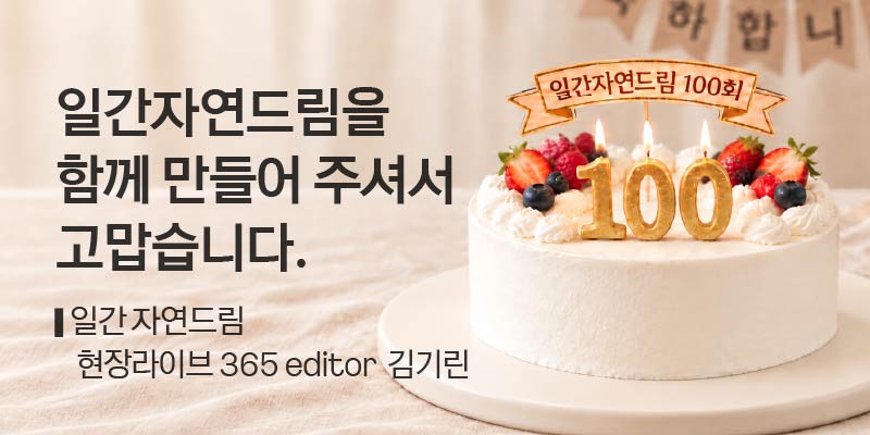 일간자드 100회