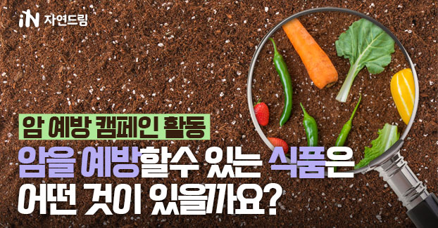 암을 예방할 수 있는 식품은 어떤 것이 있을까요?