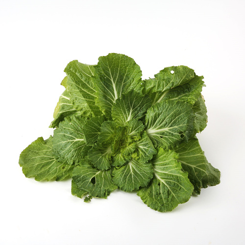 [무농약봄동배추]-상세정보