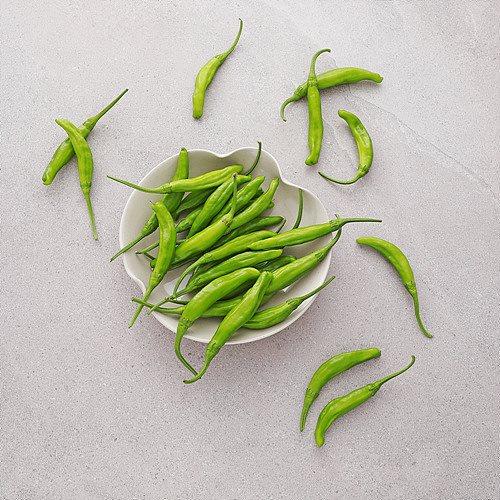 항암꽈리고추