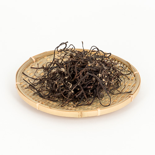 [건고사리]-상세정보