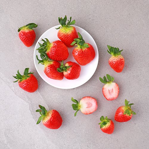 [무농약토경재배설향딸기(안동)]-상세정보