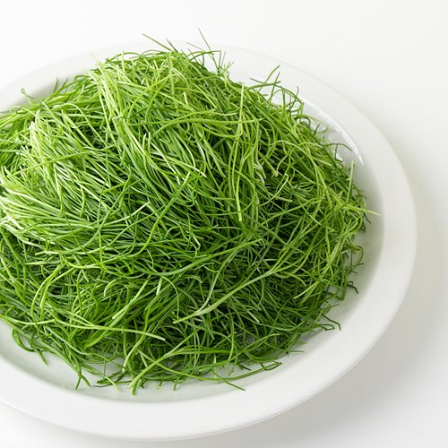 [유기농세발나물]-상세정보