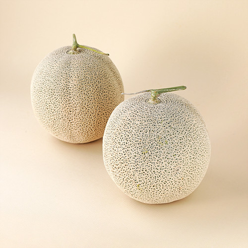 (산지직송)멜론*4수 이미지 2