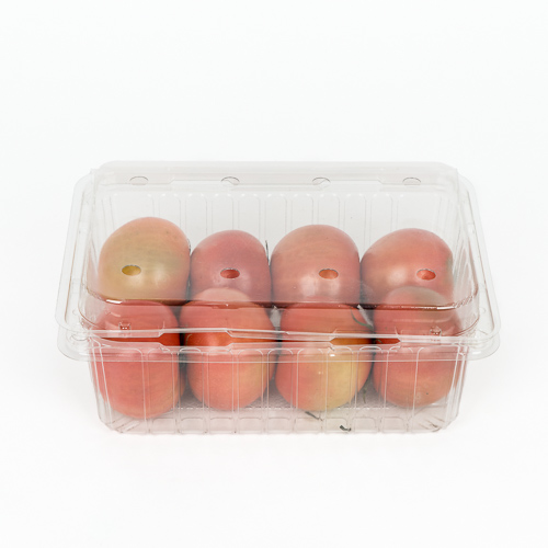 [유기농큰토마토]-상세정보