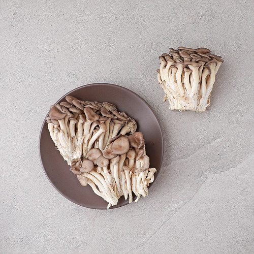 애느타리버섯(대농)*300g*무(국산)