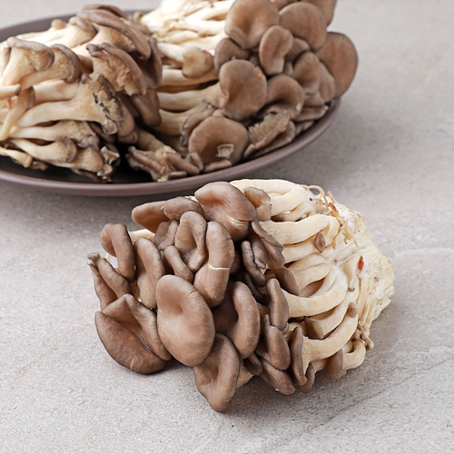 애느타리버섯(대농)*300g*무(국산) 이미지 2