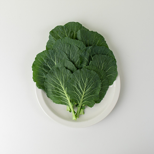 [항암쌈케일(무농약이상)]-상세정보