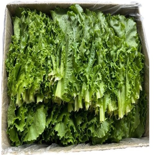 [무농약이상청로메인(원재료)]-상세정보