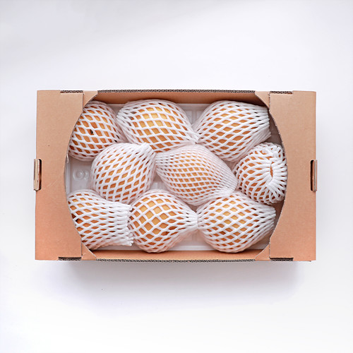 [(산지직송)배*5kg]-상세정보