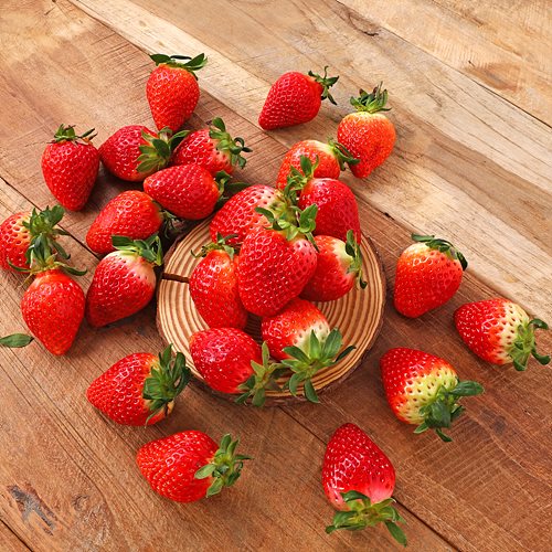 [유기농토경재배설향딸기]-상세정보