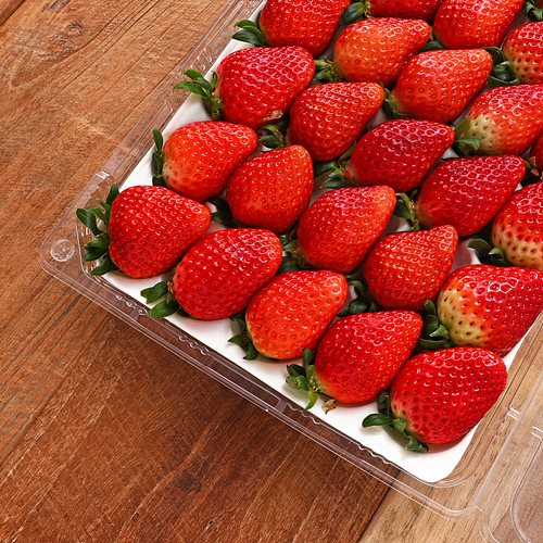 [(산지직송)무농약토경재배설향딸기]-상세정보