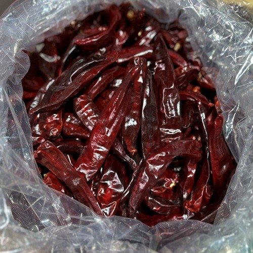[유기농건고추*1.2kg(산지직송)]-상세정보
