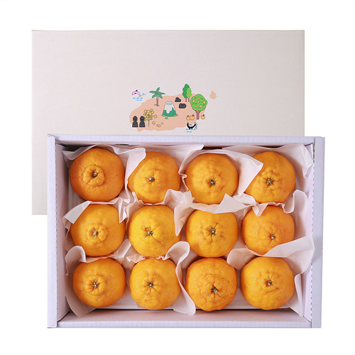 [한라봉선물세트]-상세정보