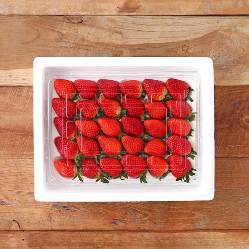 [(산지직송)무농약토경재배설향딸기]-상세정보