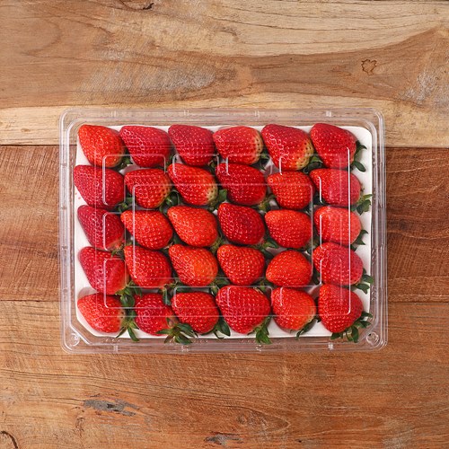 [(산지직송)항암설향딸기(무농약)]-상세정보