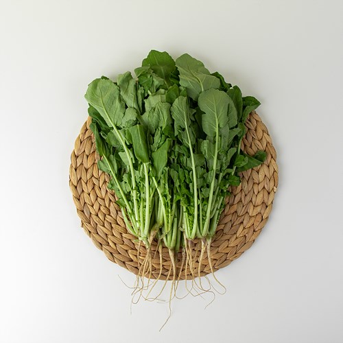 [항암열무(원재료)]-상세정보