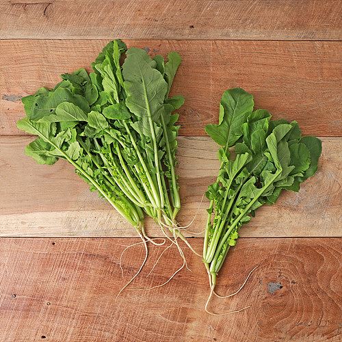 [무농약어린열무]-상세정보