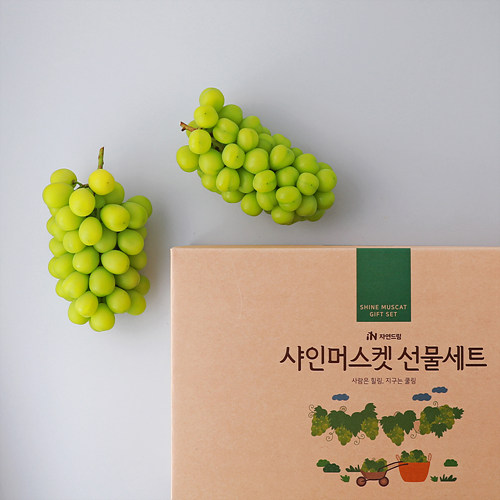 샤인머스캣선물세트*3송이*택배
