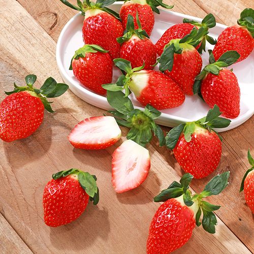 [유기농설향딸기(거창)]-상세정보