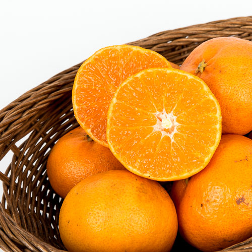 [국내산레드향]-상세정보