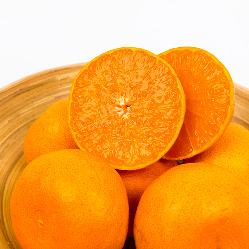 [국내산천혜향]-상세정보