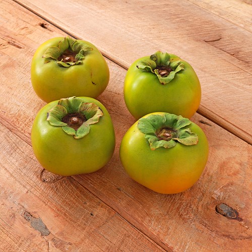 (산지직송)태추단감*2.5kg