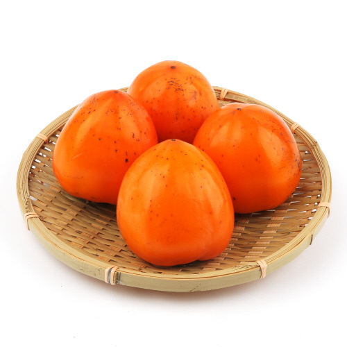 [항암대봉감(특과)]-상세정보