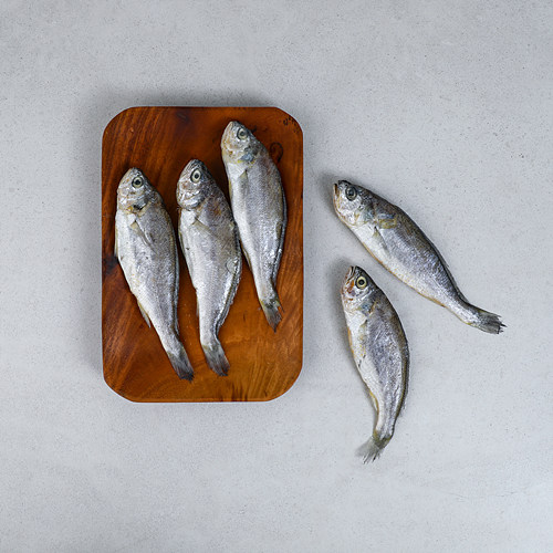 [법성포굴비(중/10미)]-상세정보