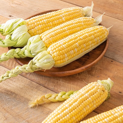 (산지직송)무농약초당옥수수*특*15개