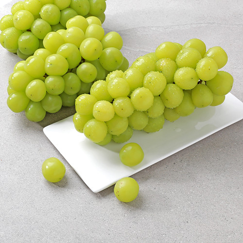 (산지직송)샤인머스캣(함평)*4kg
