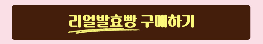 리얼발효빵