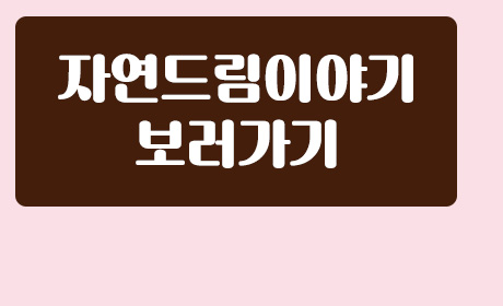 리얼발효빵