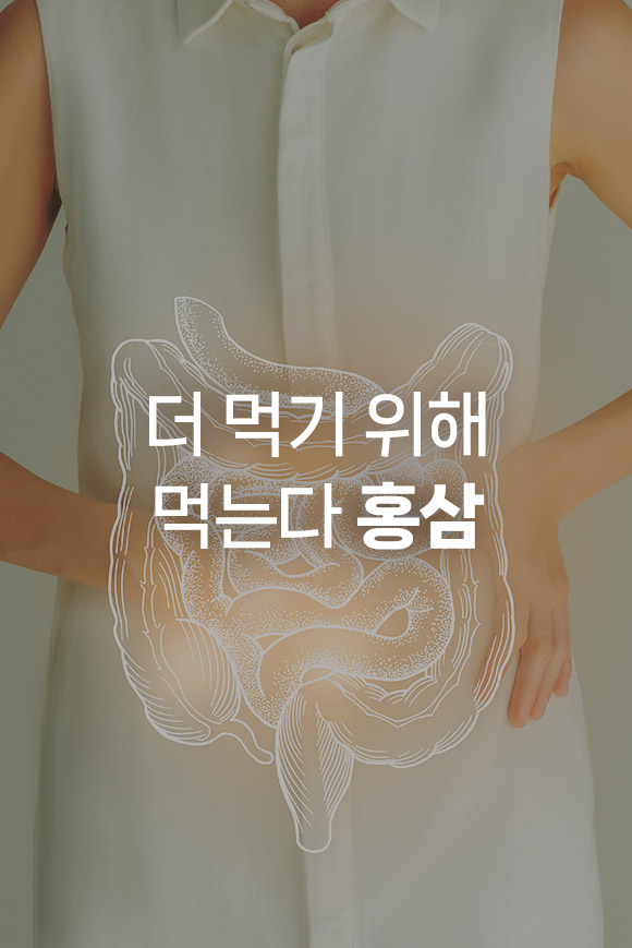 요리지 대표이미지