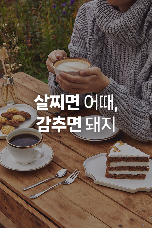 요리지 대표이미지